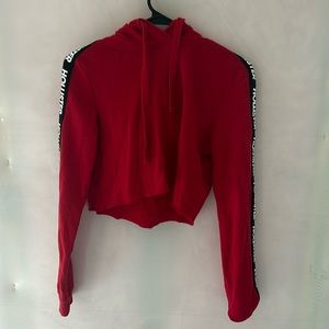 Cropped Hollister hoodie